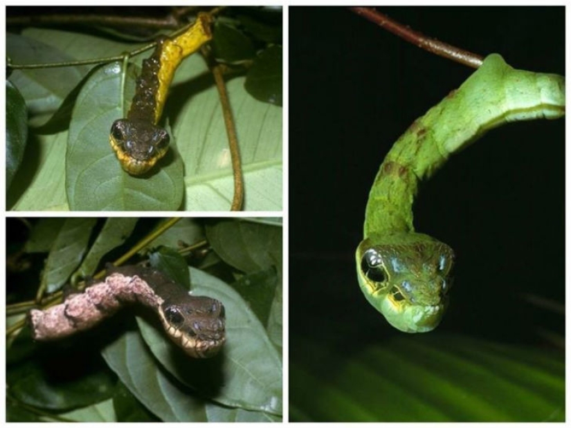 Estas 19 fotos confirmar lo increíble que es nuestro mundo