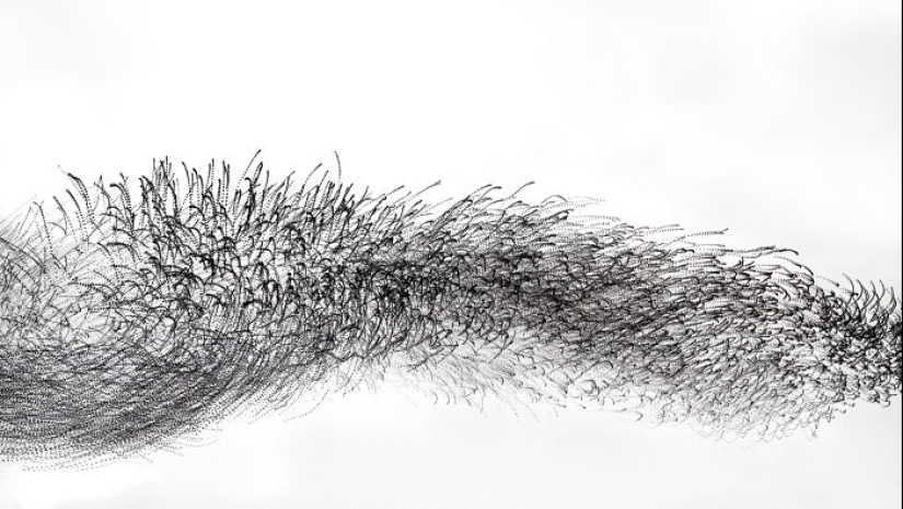 Este artista capturó 20 fotografías fascinantes que convierten la migración de aves en una obra de arte