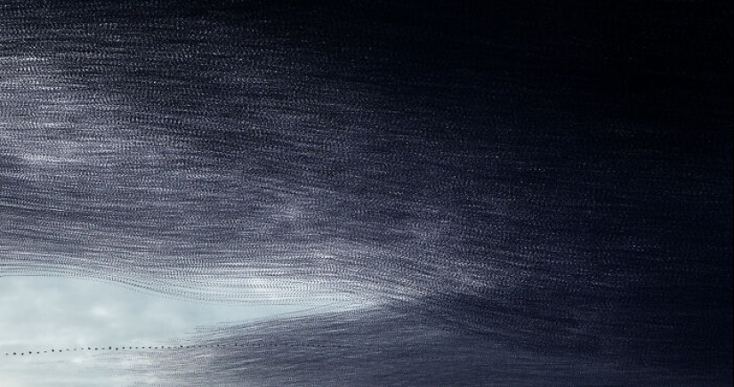 Este artista capturó 20 fotografías fascinantes que convierten la migración de aves en una obra de arte