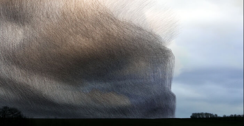 Este artista capturó 20 fotografías fascinantes que convierten la migración de aves en una obra de arte