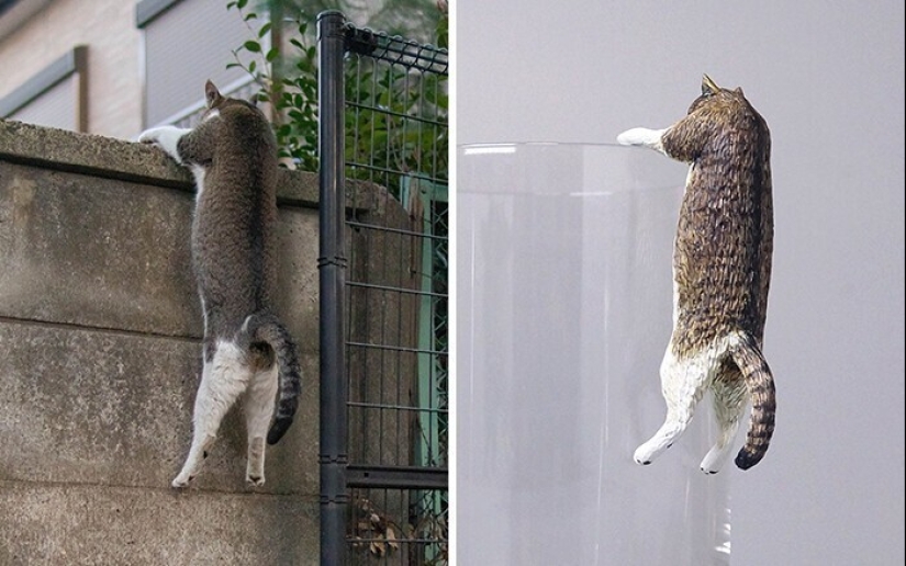 Este es un debe ver: 50 divertidas figuras de animales basado en Internet memes Este es un debe ver: 50 divertidas figuras de animales basado en Internet memes