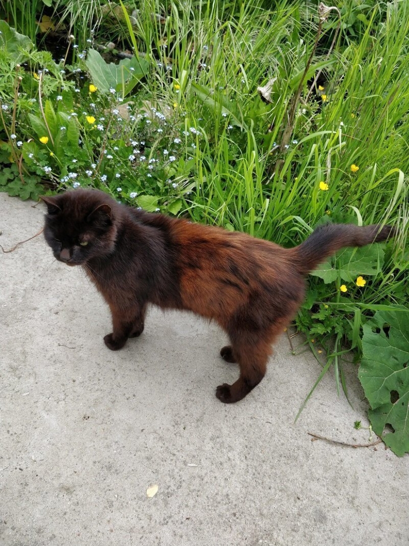 Este increíble mundo! 17 imágenes que te sorprenderán