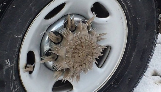 Este increíble mundo! 17 imágenes que te sorprenderán