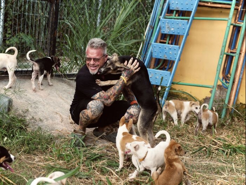 Este santuario para perros honró a sus seguidores haciéndolos parte de la historia Este santuario para perros honró a sus seguidores haciéndolos parte de la historia