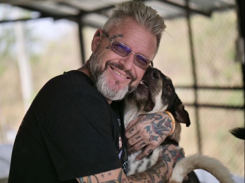 Este santuario para perros honró a sus seguidores haciéndolos parte de la historia Este santuario para perros honró a sus seguidores haciéndolos parte de la historia