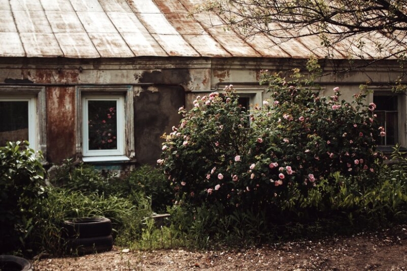 Estética del sector privado