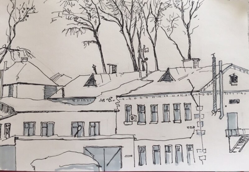 Estética del sector privado