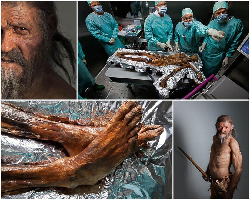 Etzi's "Ice Man" and his story Etzi's "Ice Man" and his story