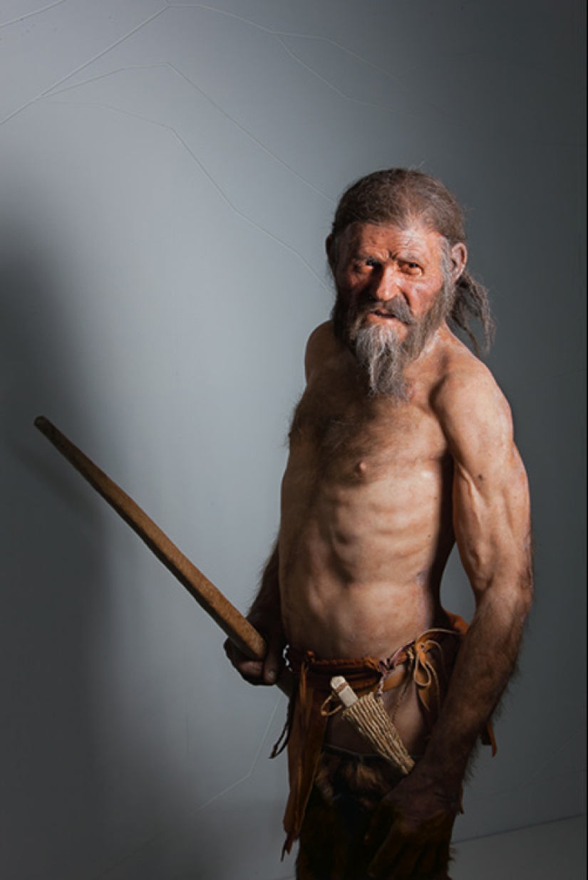 Etzi's "Ice Man" and his story Etzi's "Ice Man" and his story