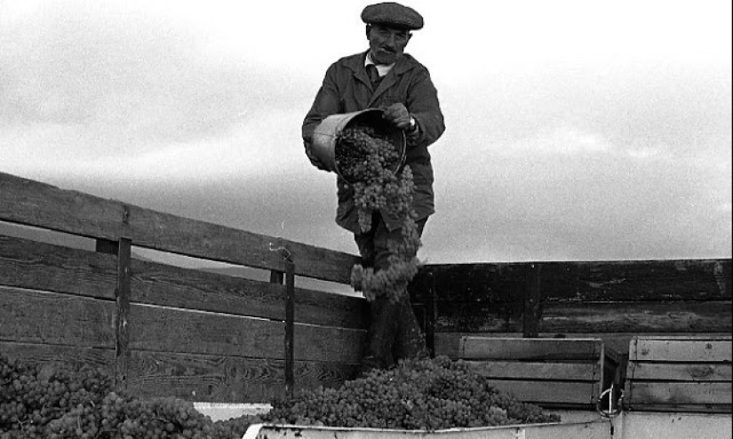 Everyday life in Soviet Georgia in 1976, captured by a Swedish photographer