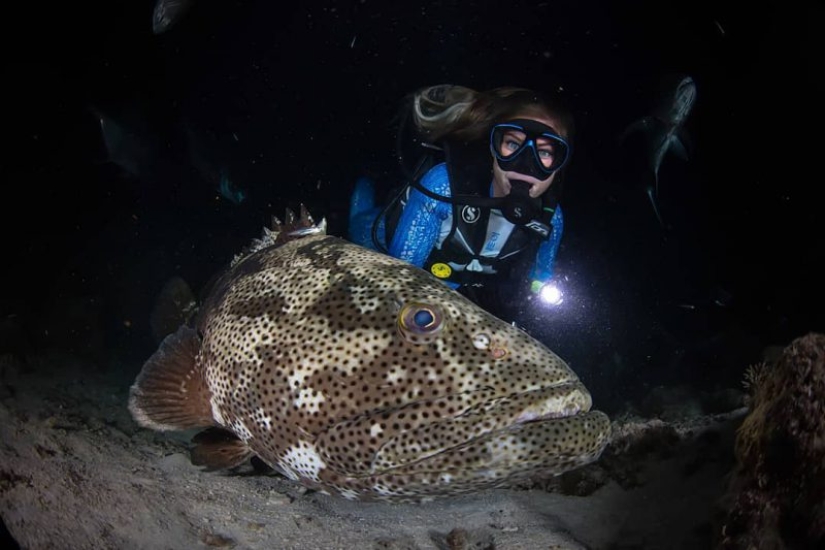 Everyone calls her the pictures with photoshop, but they are real: amazing footage of a diver and the underwater world