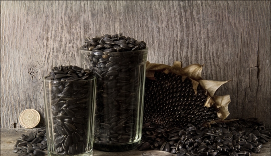 Evolution of seeds in Russia from Peter I to our days