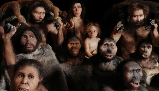 Evolutionary Atavisms: 7 Organs We No Longer Need Evolutionary Atavisms: 7 Organs We No Longer Need