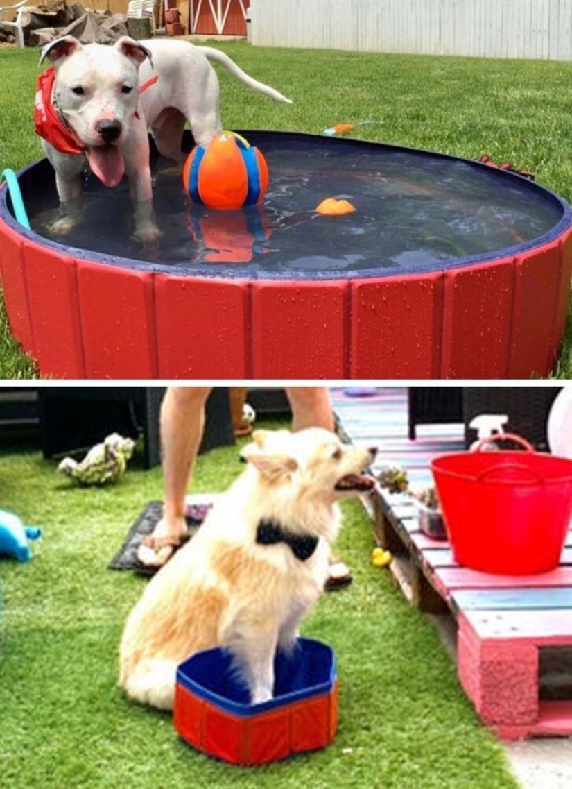 Expectation/Reality: 29 examples of ruthless online shopping Expectation/Reality: 29 examples of ruthless online shopping