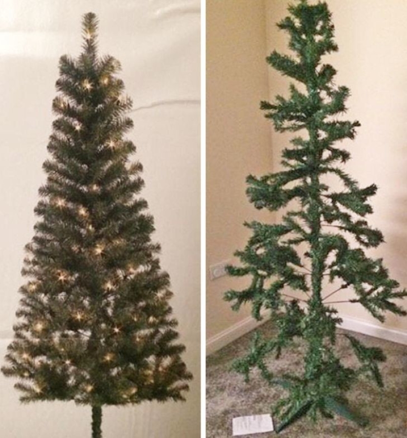 Expectation/Reality: 29 examples of ruthless online shopping Expectation/Reality: 29 examples of ruthless online shopping