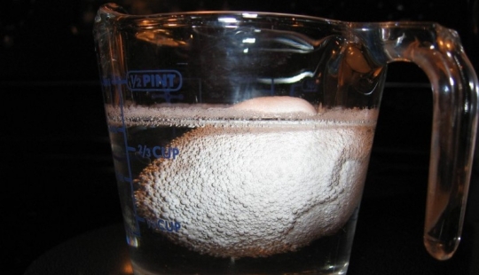 Experiment with egg and vinegar Experiment with egg and vinegar