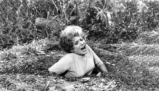 Experts explain: The 5 most fantastic and creepy ways to die