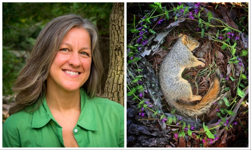 Extraordinarily beautiful and sad photos of floral memorials for dead animals