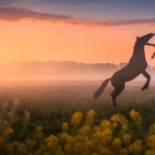 Fabulosas fotos de la hermosa Holanda que quita el hipo