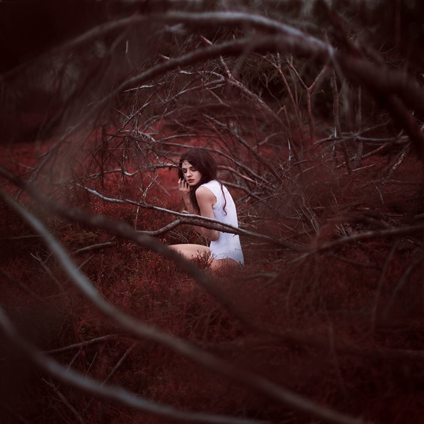 Fabulous and mystical images in the pictures Sina Domke