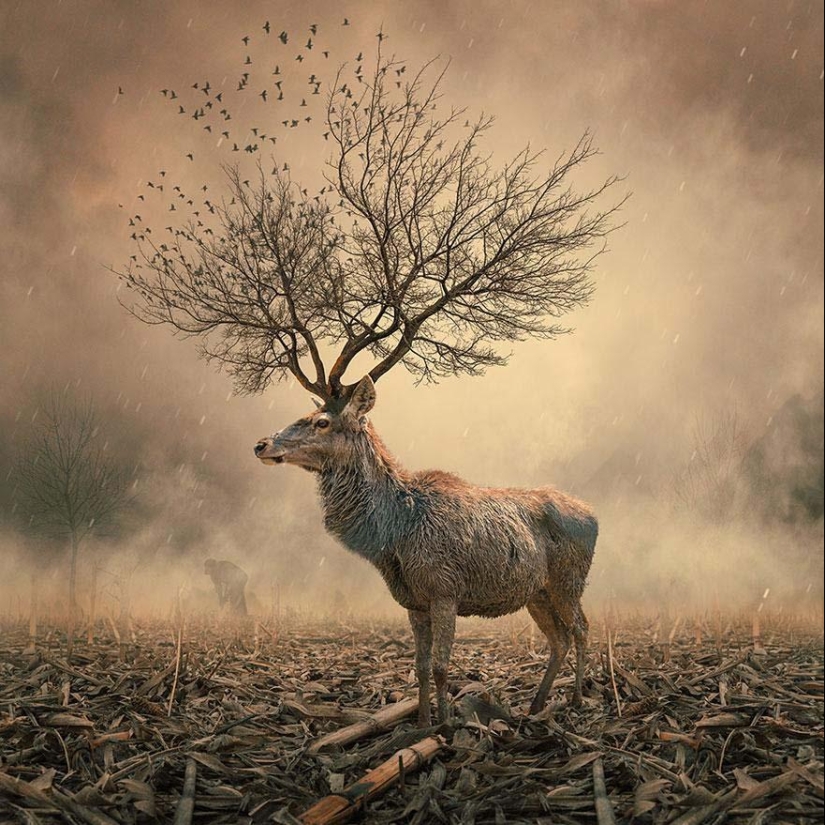 Fabulous photo manipulations of Karas Yonut
