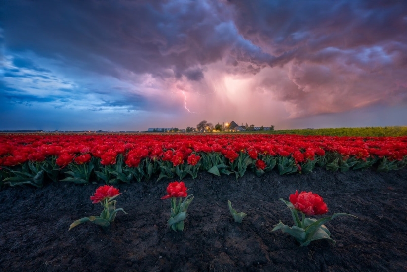Fabulous photos of beautiful Holland that take your breath away