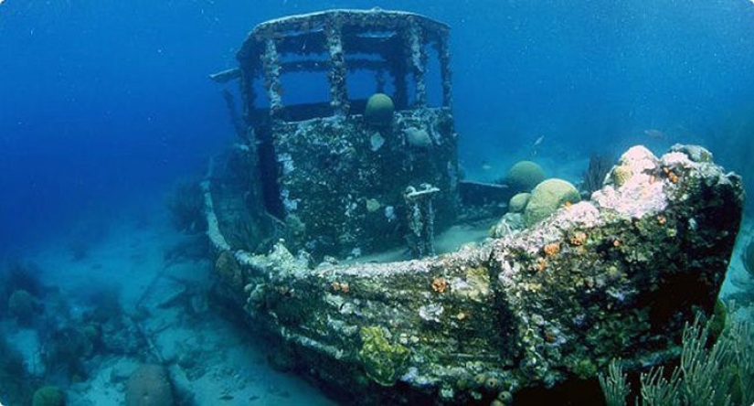 Fact or Fiction: 20 of MythBusters' Best Investigations Fact or Fiction: 20 of MythBusters' Best Investigations