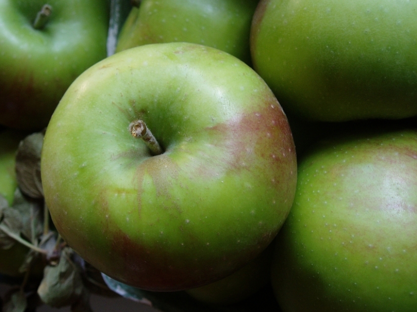 Facts about the movie "Rambo: First Blood" that you probably didn't know Facts about the movie "Rambo: First Blood" that you probably didn't know