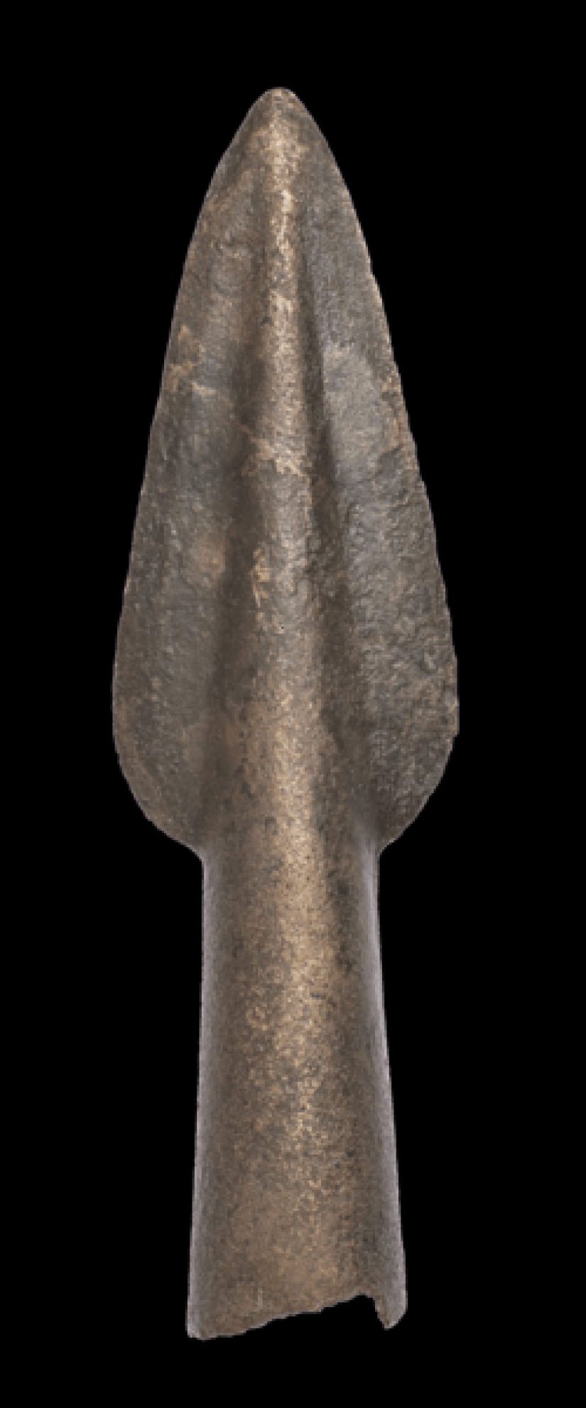 False teeth, Soviet badges and firearms: the 700 finds from the bottom of the canals in Amsterdam