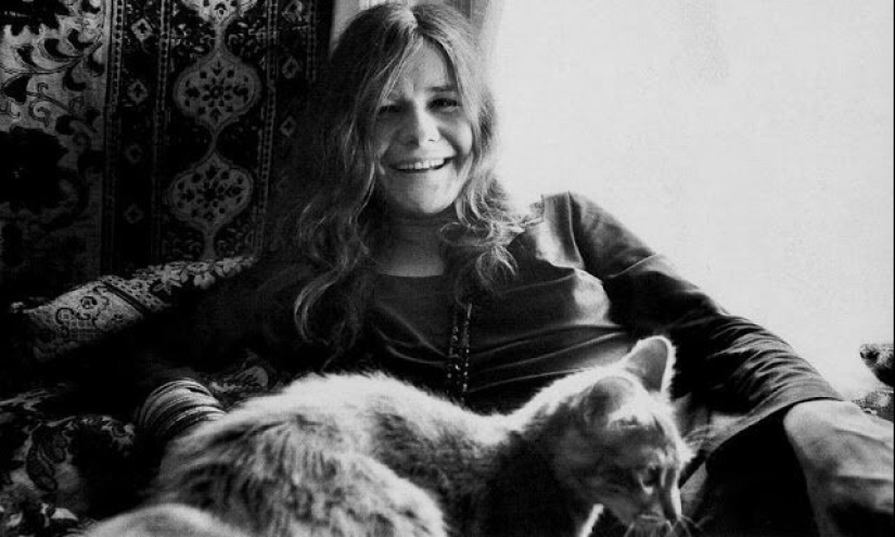 Famosos amantes de los gatos: personajes famosos y sus Mascotas Famosos amantes de los gatos: personajes famosos y sus Mascotas