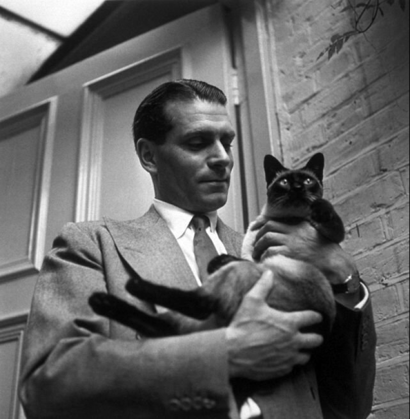 Famosos amantes de los gatos: personajes famosos y sus Mascotas Famosos amantes de los gatos: personajes famosos y sus Mascotas