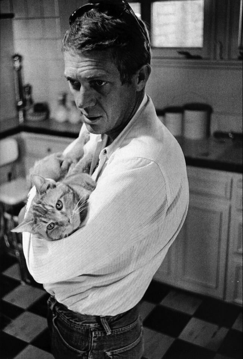 Famosos amantes de los gatos: personajes famosos y sus Mascotas Famosos amantes de los gatos: personajes famosos y sus Mascotas