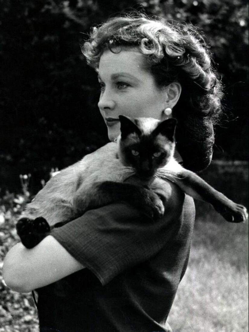 Famous cat lovers: famous personalities and their Pets