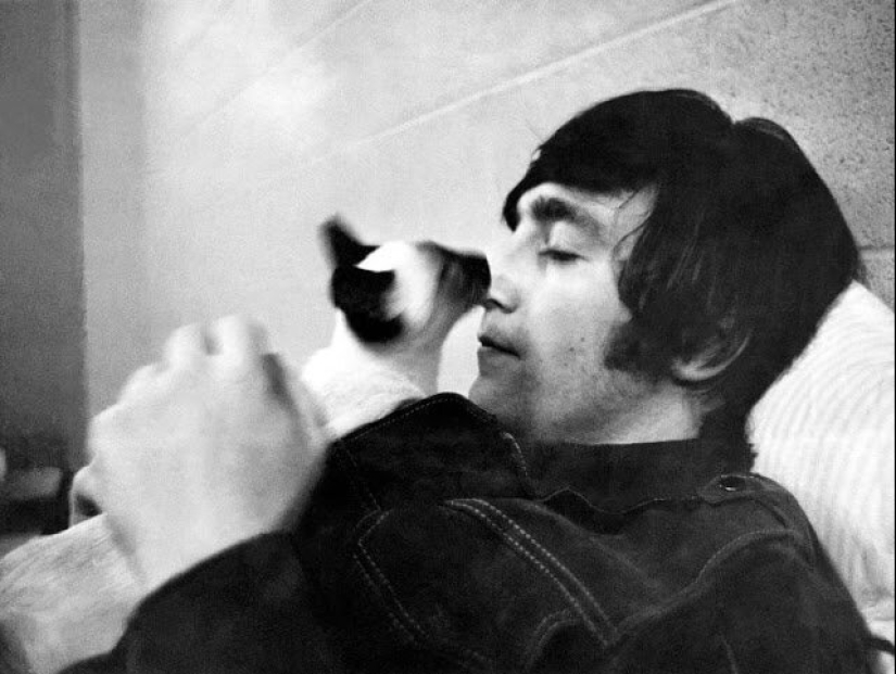 Famous cat lovers: famous personalities and their Pets