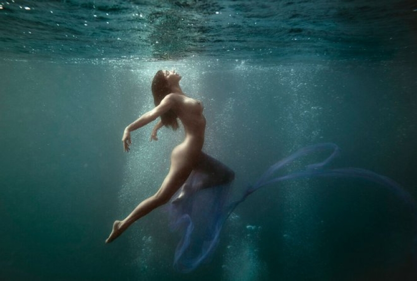 Fantasías en la Gran Barrera de Coral por el maestro de la fotografía de playa Paul Giggle Fantasías en la Gran Barrera de Coral por el maestro de la fotografía de playa Paul Giggle