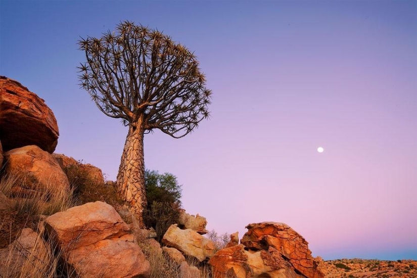 Fantastic landscapes of Namibia