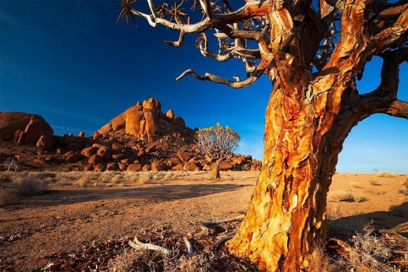 Fantastic landscapes of Namibia