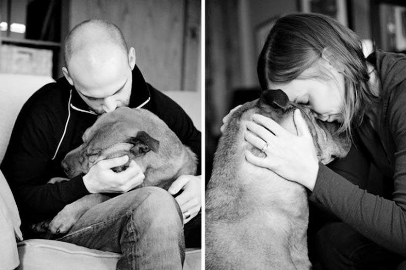 Farewell forever: the photographer captures the last moment of love between the owner and the dog before euthanasia Farewell forever: the photographer captures the last moment of love between the owner and the dog before euthanasia