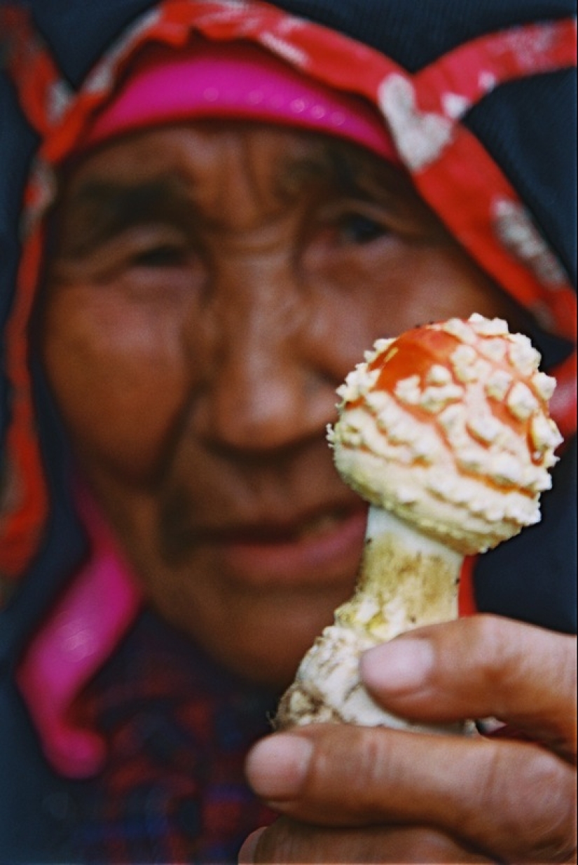 Fear and disgust in Sumer, or What representatives of ancient civilizations "used" Fear and disgust in Sumer, or What representatives of ancient civilizations "used"