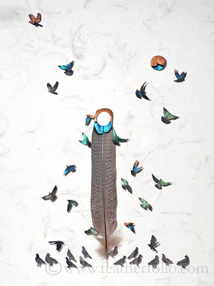 Feathers as art