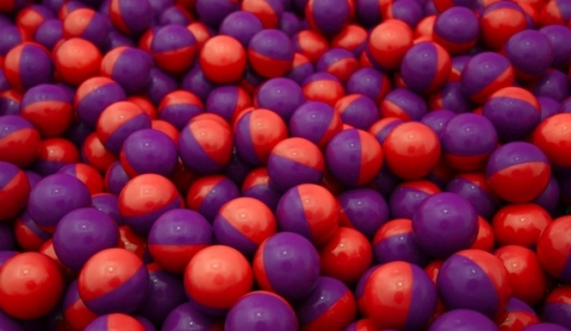 Fighting Geese, Homeless Cops, and 8 More Unconventional Methods of Fighting Crime