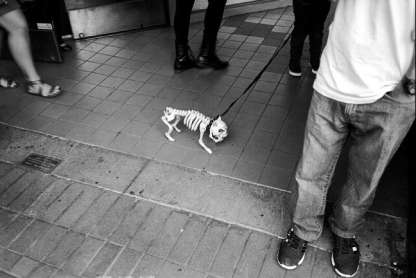 &quot;Filmamos para que la gente se haga preguntas&quot;: una selección de fotografías que exigen explicaciones desesperadamente