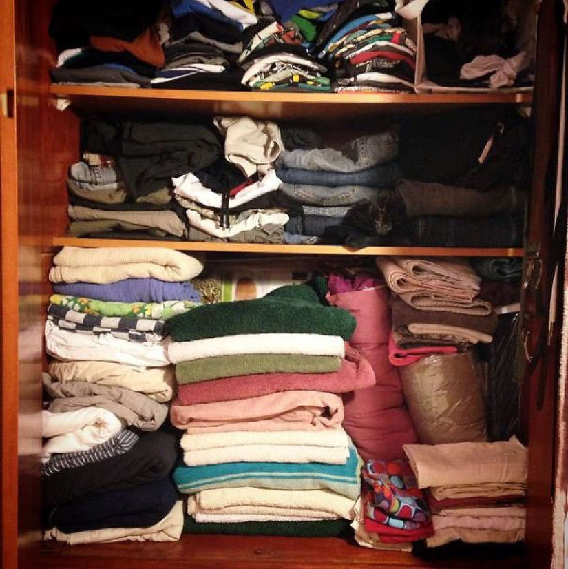 Find the cat: crafty baleen-striped, which are impossible to find in the photo Find the cat: crafty baleen-striped, which are impossible to find in the photo