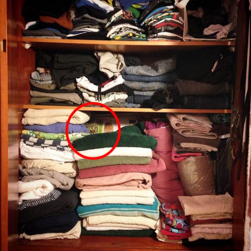 Find the cat: crafty baleen-striped, which are impossible to find in the photo Find the cat: crafty baleen-striped, which are impossible to find in the photo