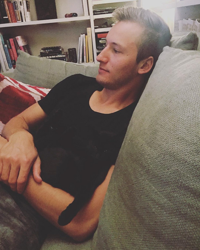 Find the cat: crafty baleen-striped, which are impossible to find in the photo Find the cat: crafty baleen-striped, which are impossible to find in the photo