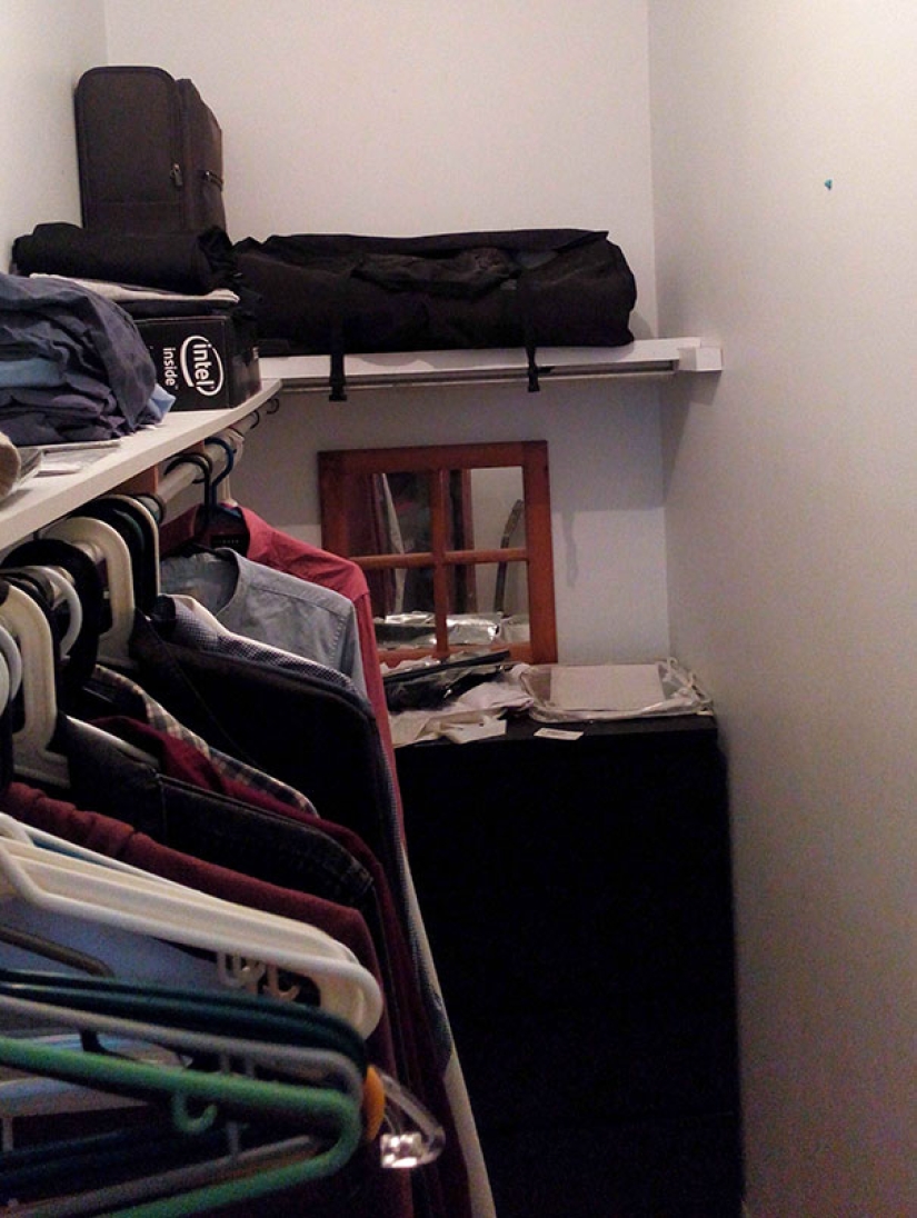 Find the cat: crafty baleen-striped, which are impossible to find in the photo Find the cat: crafty baleen-striped, which are impossible to find in the photo