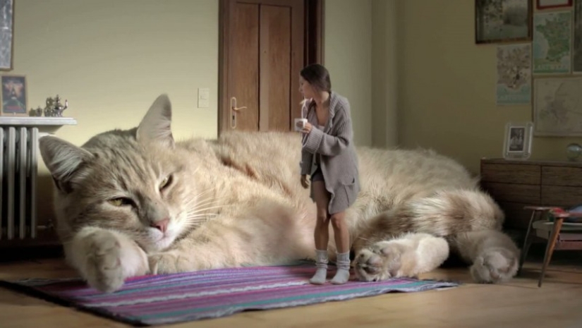 Five countries without central heating Five countries without central heating