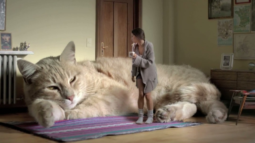 Five countries without central heating Five countries without central heating