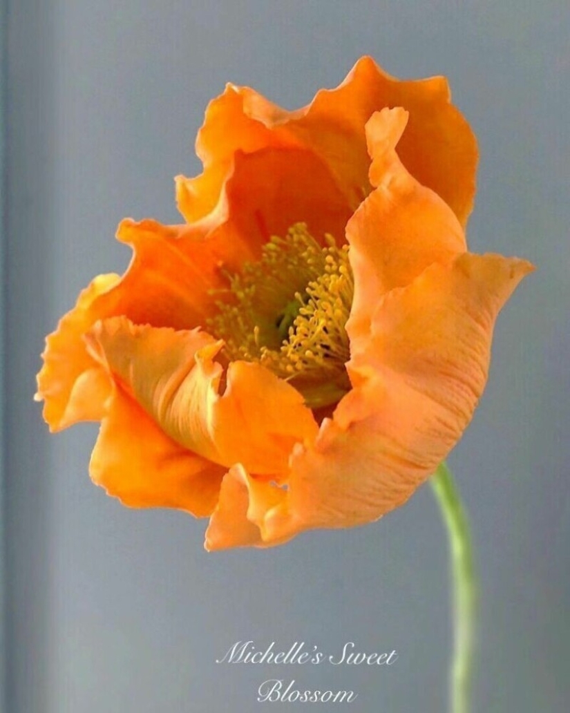 Flores de azúcar: 30 de la impresionante obra de Michelle Nguyen