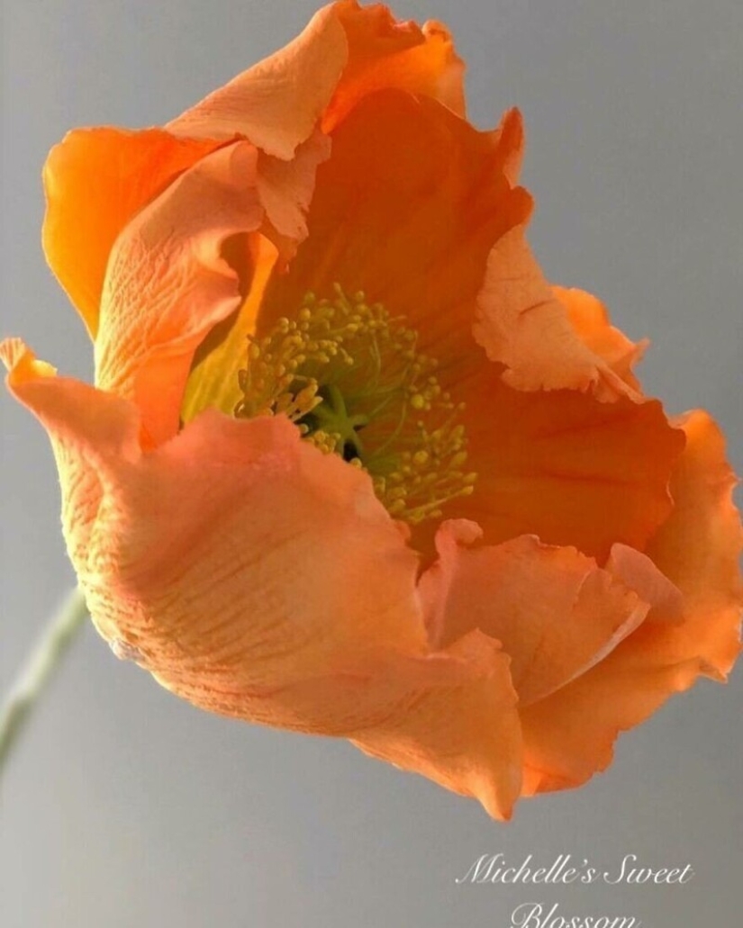 Flores de azúcar: 30 de la impresionante obra de Michelle Nguyen